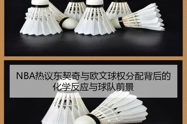 NBA热议东契奇与欧文球权分配背后的化学反应与球队前景 | kaiyun
